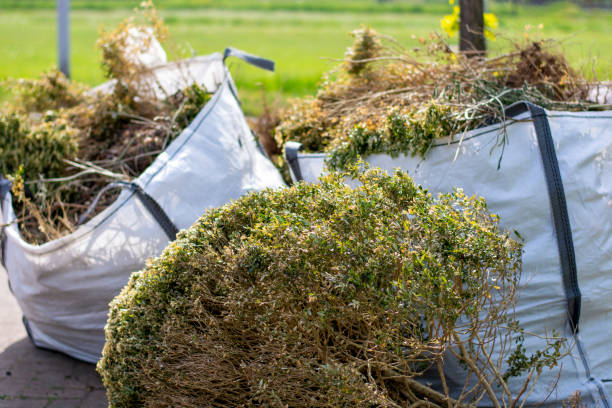 Reliable Wofford Heights, CA Junk Removal Solutions