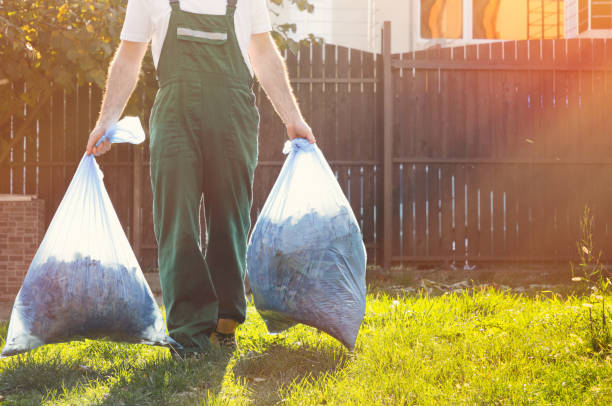 Best Construction Debris Removal  in Wofford Heights, CA